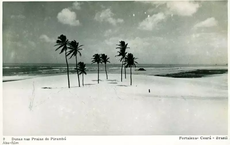 Foto 55: Dunas na Praia do Pirambú : Fortaleza, CE