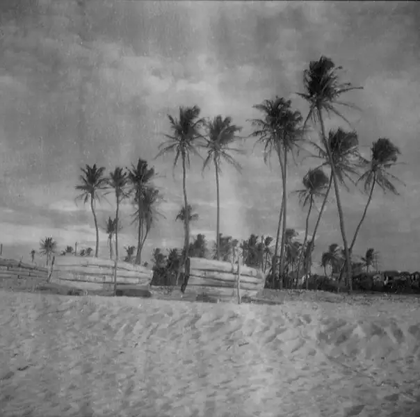Foto 159: Praia do Mucuripe em Fortaleza (CE)