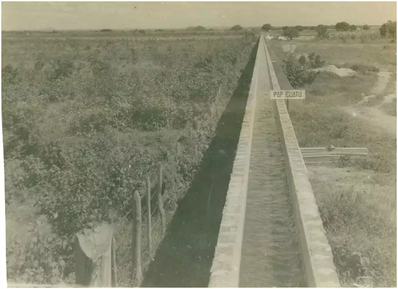 Foto 40: Canal de irrigação : Iguatu, CE