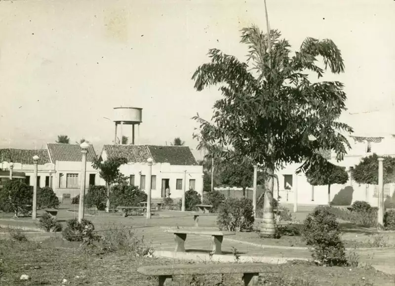 Foto 17: Praça Dr. Cartaxo : Mauriti, CE