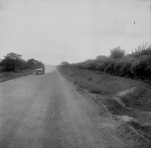 Foto 6: Estrada que liga Banabuiú a Morada Nova (CE)