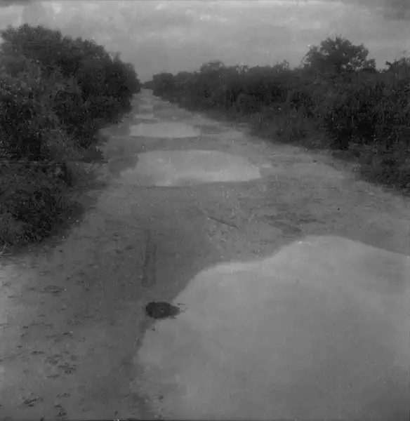 Foto 1: Trecho alagado da estrada que liga Araripe a Campos Sales em Salitre (CE)