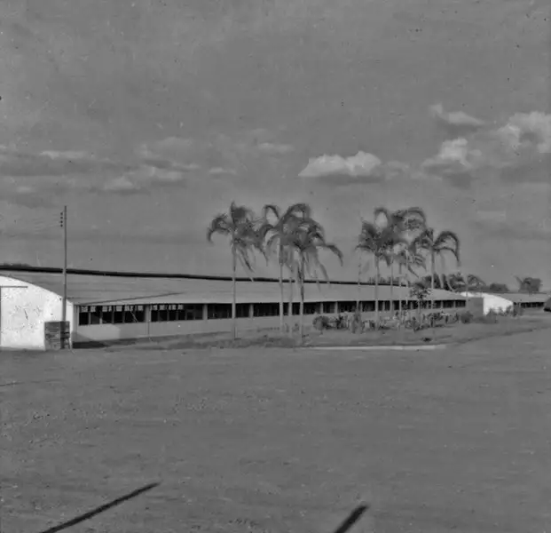 Foto 207: Aviários da fazenda do Torto : Brasília (DF)