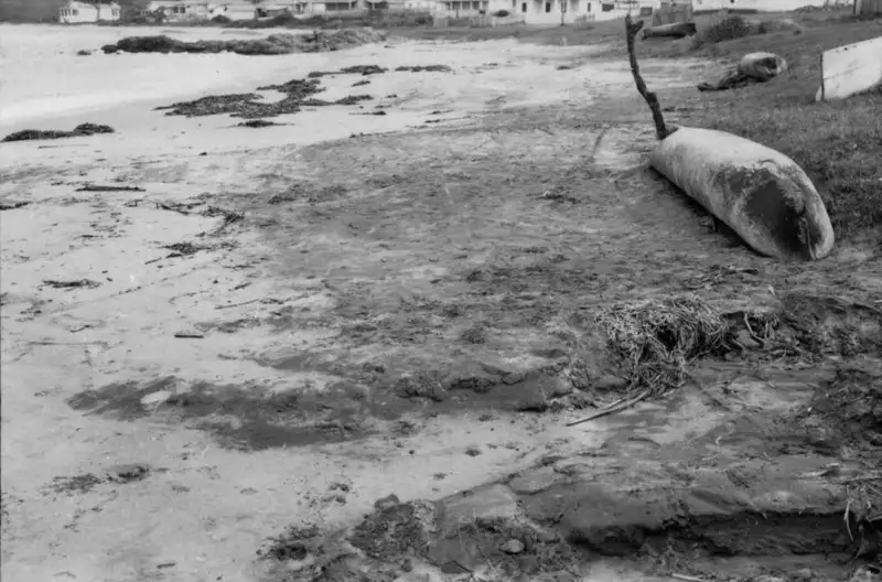 Foto 45: Aspecto das areias monazíticas nas praias de Irirituba - M. de Anchieta (ES)
