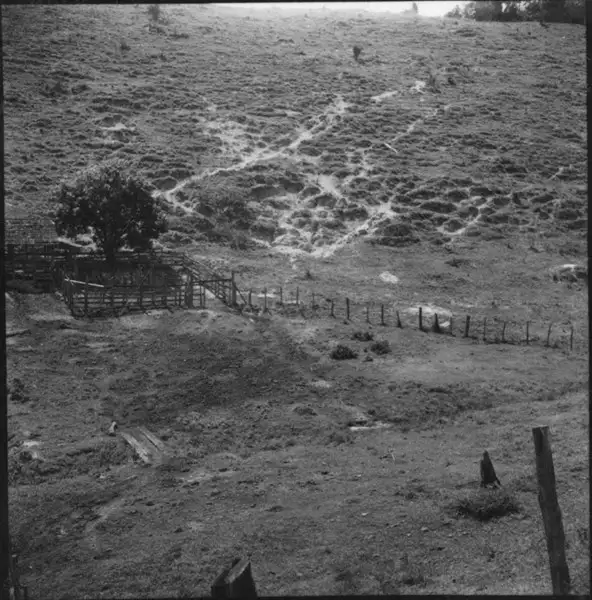 Foto 16: Paisagem 14 km. depois de Cachoeiro do Itapemirim. Erosão na encosta provocada pelo pisoteio do gado. Entre Cachoeiro do Itapemirim e Iconha (ES)