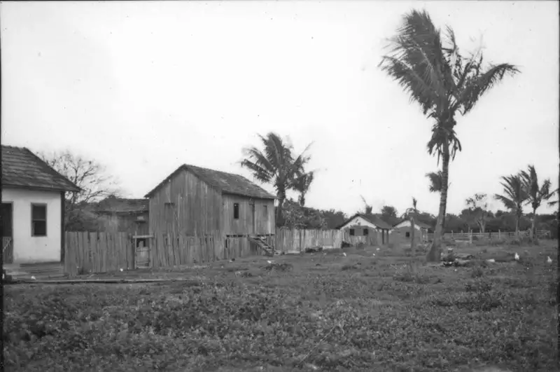 Foto 85: Casas de uma fazenda de cacau, perto da cidade de Linhares (ES)