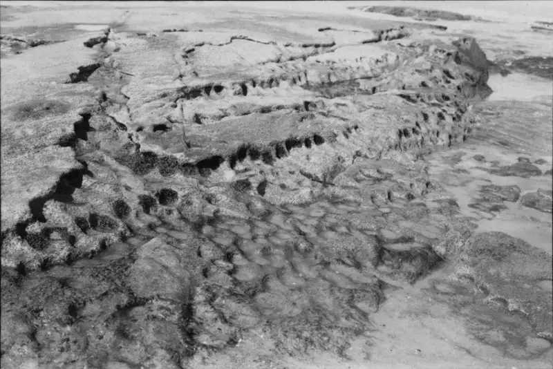 Foto 1: Buracos feitos por litófagos, ocasião da maré baixa. Praia de Marataízes (ES)