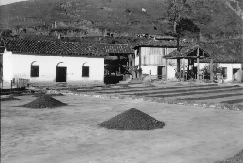 Foto 2: Terreiros de café, fazenda Santa Marta - M. do Sul (ES)