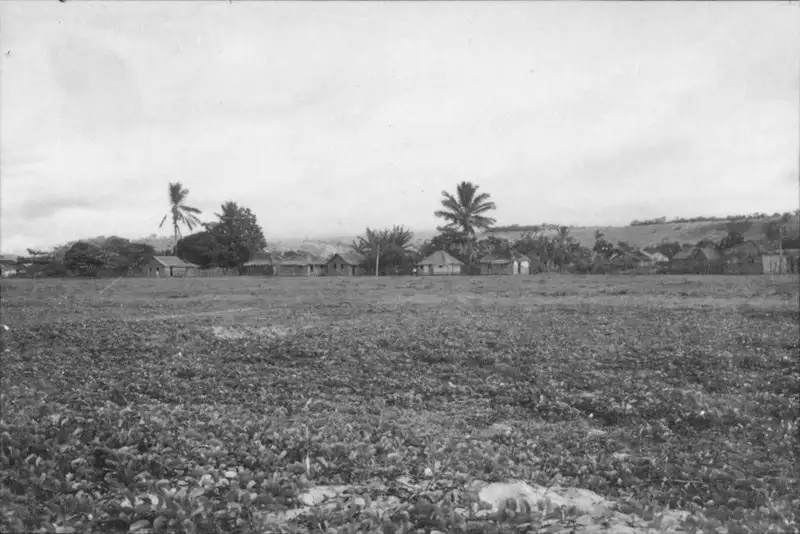 Foto 7: Aspecto do litoral em Piúma. Ao fundo a cadeia e o monte Aga. Note-se casas de pescadores junto a praia, cobertas de palmeiras. (ES)