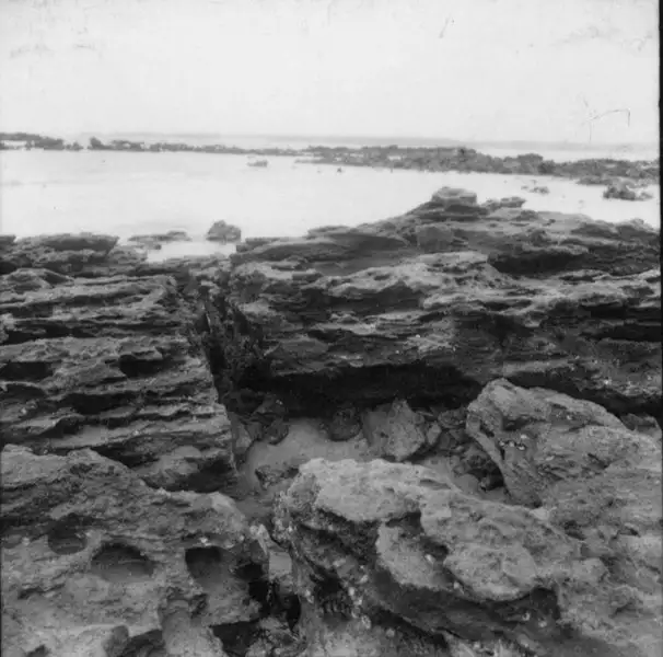 Foto 37: Entre Nova Almeida e Sta. Cruz, aspecto da praia onde se pode observar concreções lateríticas (ES)
