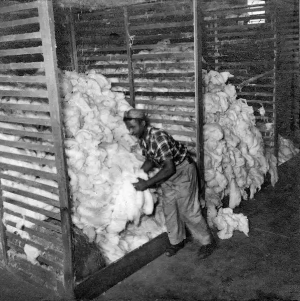 Foto 85: Fábrica de tecidos em Anápolis (GO)