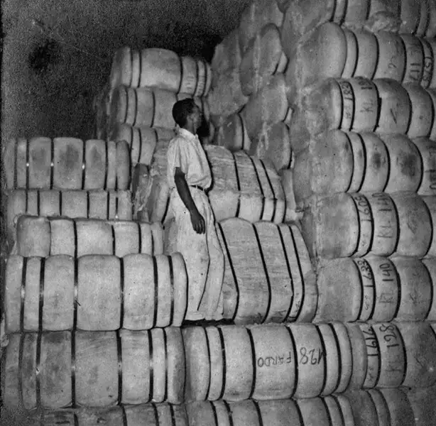 Foto 86: Fábrica de tecidos em Anápolis (GO)