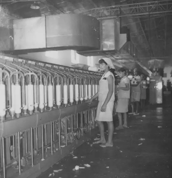 Foto 118: Fábrica de algodão com capacidade para 300 operários : Anápolis (GO)