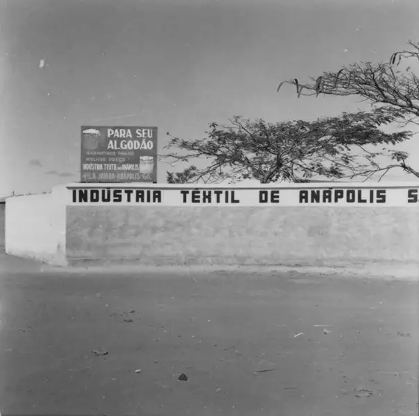 Foto 126: Processo de compra de algodão para o fabrico da Cia Têxtil de Anápolis (GO)