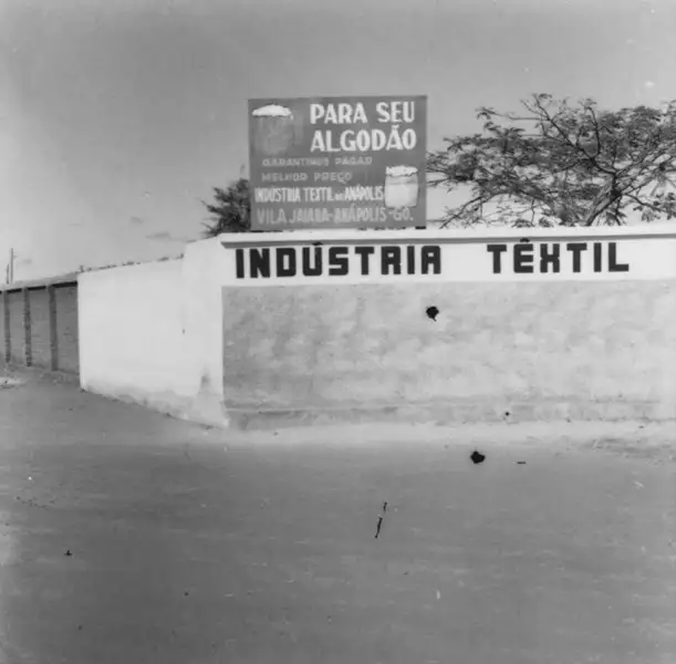 Foto 128: Processo de compra de algodão para o fabrico da Cia Têxtil de Anápolis (GO)