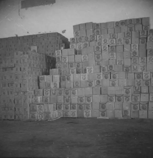 Foto 136: Caixas de sabão para importação : Anápolis (GO)