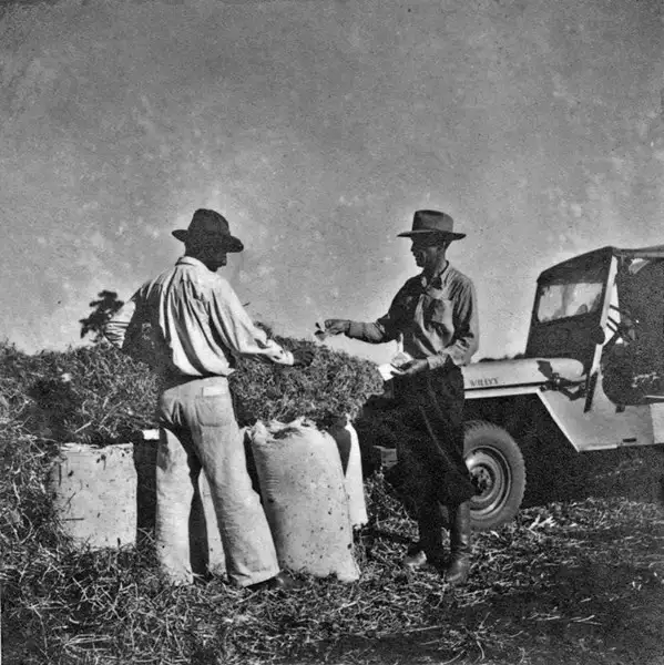 Foto 13: Colônia agrícola de Ceres : o fazendeiro fazendo negociações (GO)