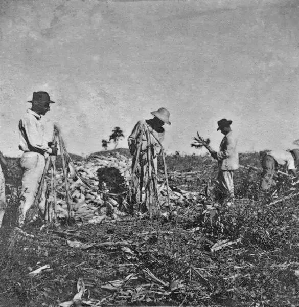 Foto 22: Trabalhadores da colônia agrícola de Ceres (GO)