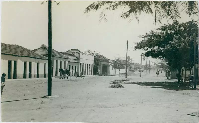 Foto 11: Avenida Engenheiro Mário Mendes de Rezende : Firminópolis, GO
