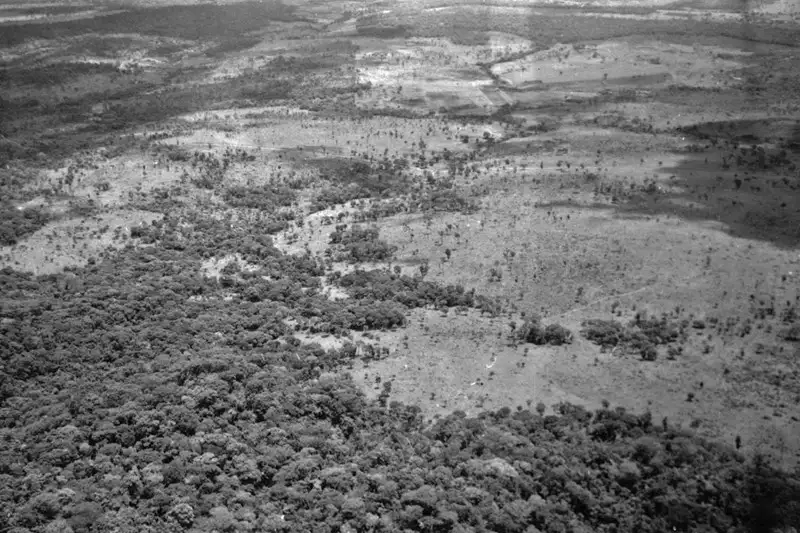 Foto 67: Vista aérea da mata perto de Goiânia (GO)
