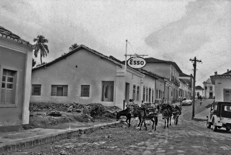 Foto 3: Tropa de burros em Goiás (GO)