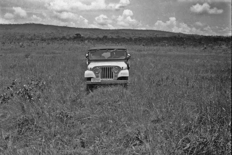 Foto 14: Jeep do CNG no cerrado para Planaltina (GO)
