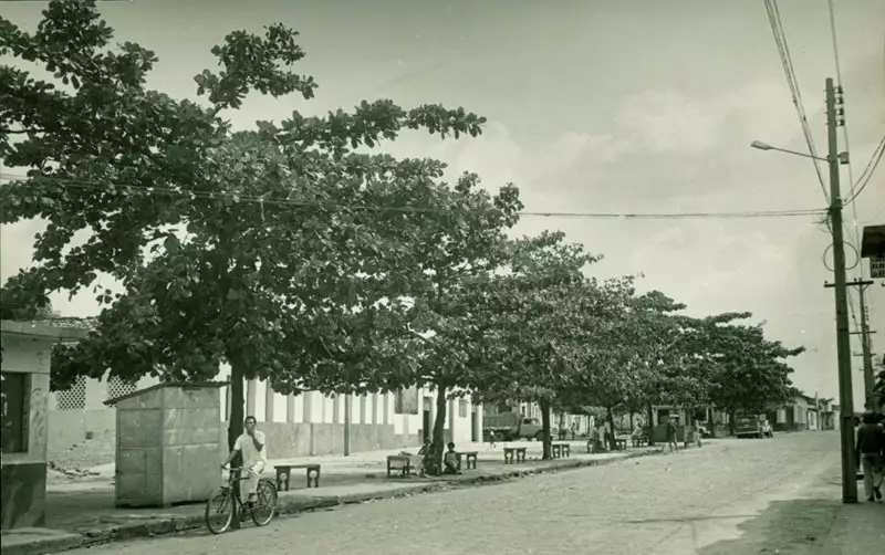 Foto 40: Avenida Barão do Rio Branco : Bacabal, MA