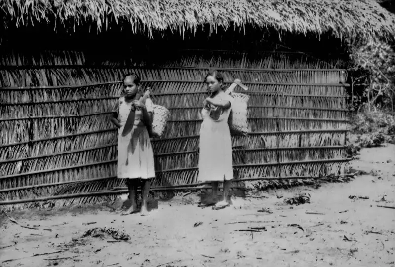 Foto 6: Colhedoras de babaçu no distrito de Bacabaíba em Caxias (MA)