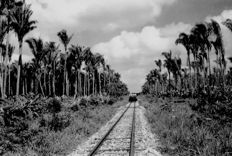 Foto 135: Estrada de ferro : município de São Luís