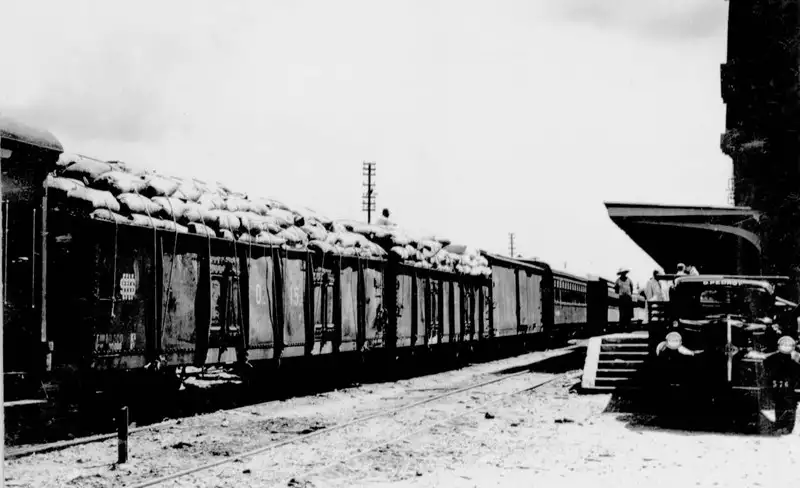 Foto 159: Trem transportando carregamento de sementes do babaçu para exportação em São Luís (MA)