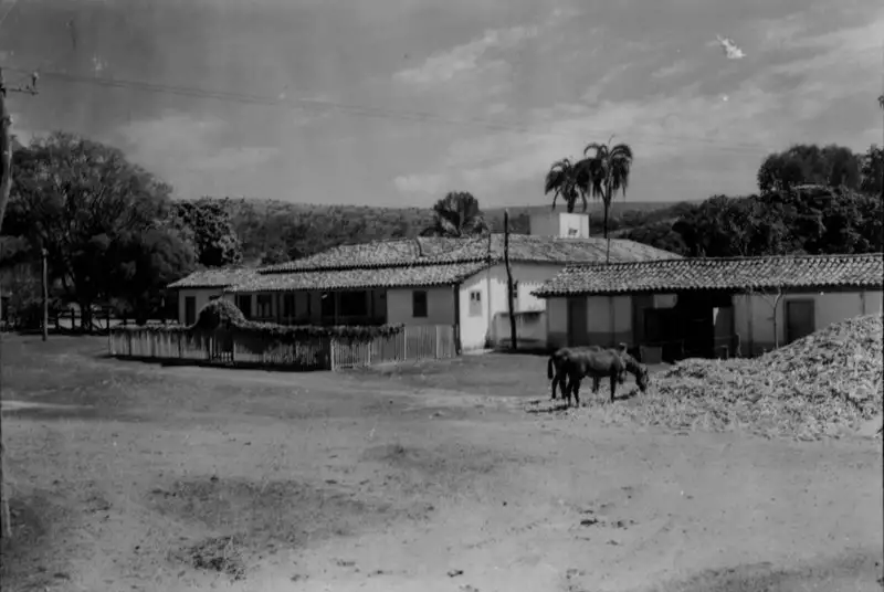 Foto 19: Sede da fazenda Saco dos Cochos (MG)