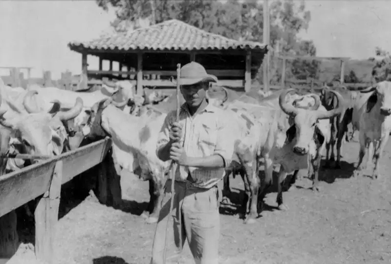 Foto 21: Vaqueiro da fazenda Saco dos Cochos (MG)