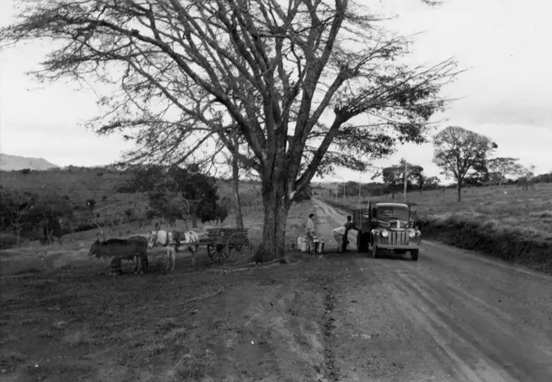 Foto 8: Caminhão da Fábrica Vigor transportando leite em Paraguaçu (MG)