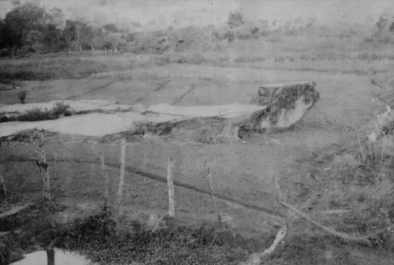 Foto 14: Plantações em Pedro Leopoldo (MG)