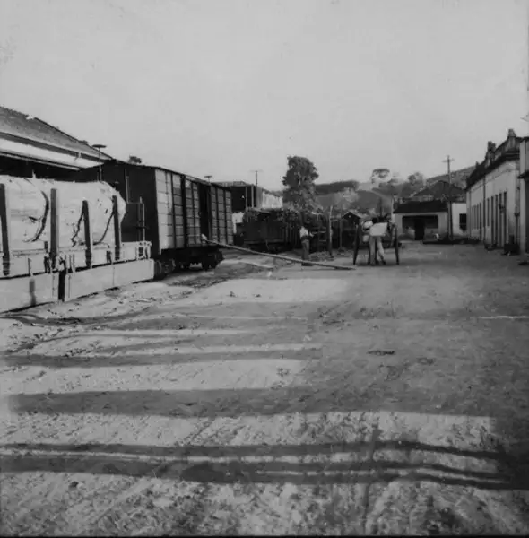Foto 15: Estação férrea em Rio Casca (MG)