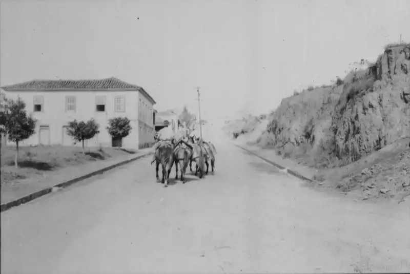 Foto 8: Transporte do leite em São Vicente de Minas (MG)