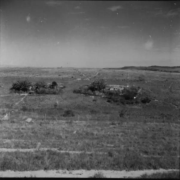 Foto 11: Casas de colonos na fazenda Bela Vista (MG)