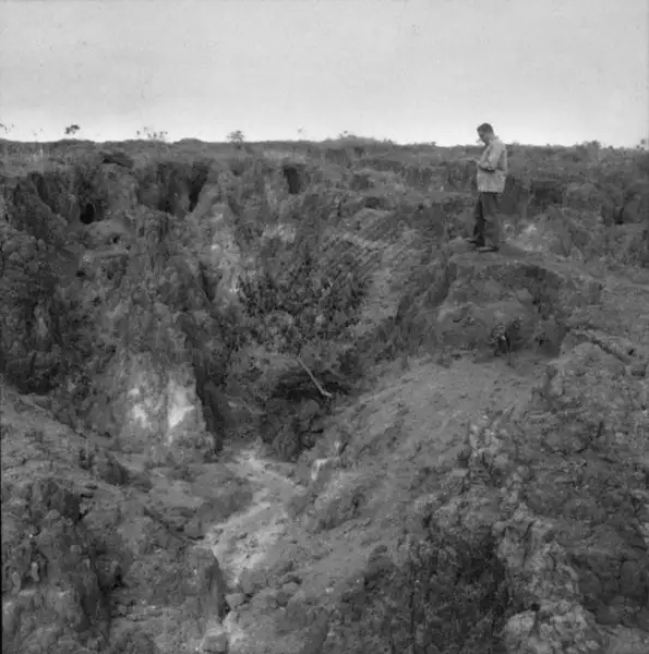 Foto 10: Sulcos escavados pelas voçorocas em Três Corações (MG)