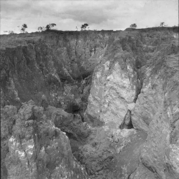 Foto 13: Sulcos escavados pelas voçorocas em Três Corações (MG)