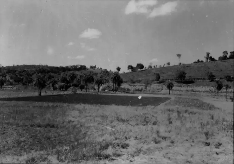 Foto 34: Plantações na cidade de Vespasiano (MG)
