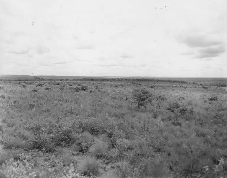 Foto 61: Vista em direção noroeste-este dos campos no alto da Serra de Maracaju perto de Campo Grande (MS)