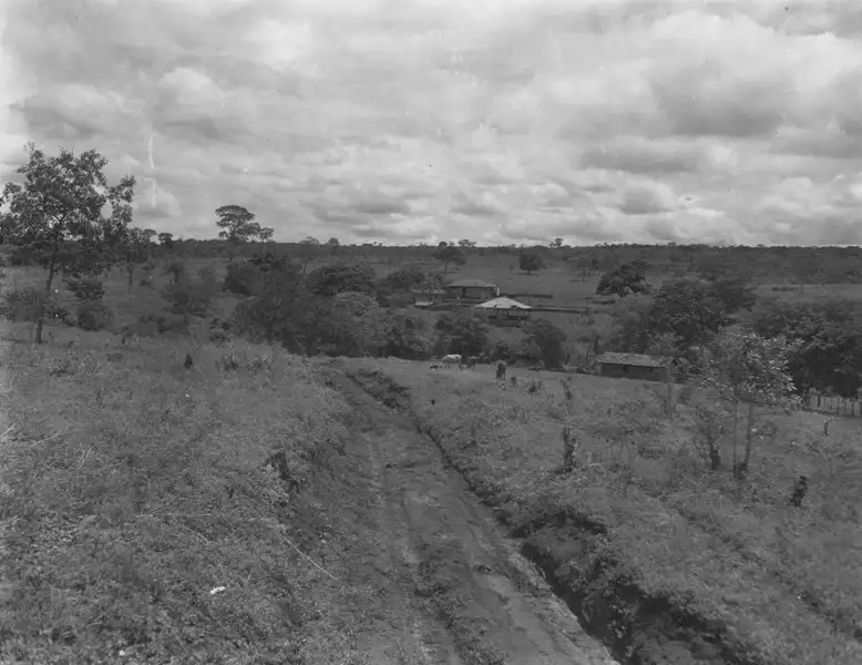 Foto 94: Fazenda Oscarina perto de Campo Grande (MS)