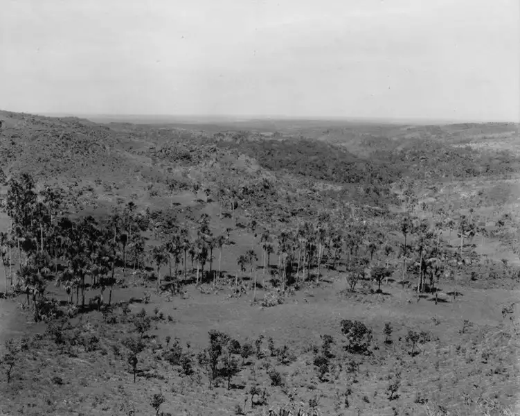 Foto 10: Escarpa da serra da Urtiga, aparecendo ao fundo os campos de planalto, visto da estrada de Mineiros : Alto Araguaia (MT)