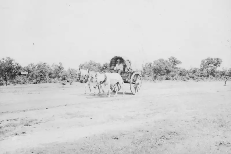 Foto 11: Carroça puxada por três animais em Várzea Grande (MT)