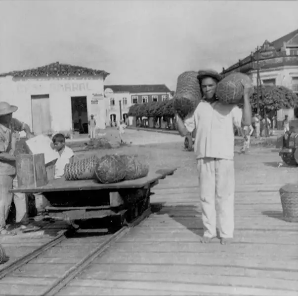 Foto 15: Transporte de farinha em paneiros - Bragança (PA)