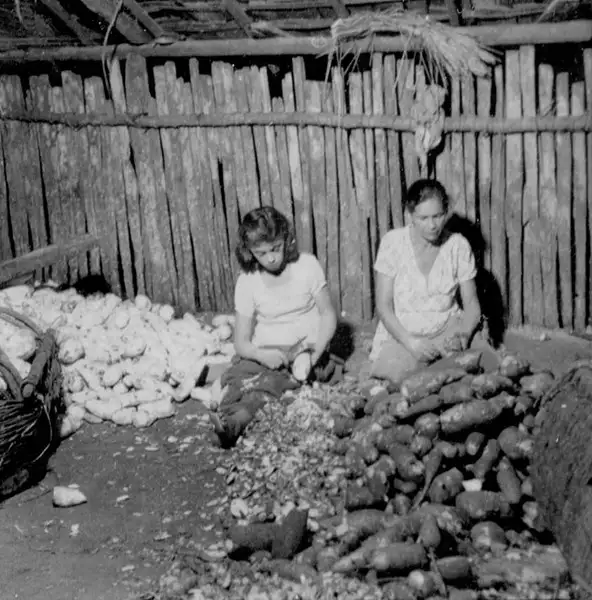 Foto 29: Mão de obra feminina - casa de farinha em Bragança (PA)
