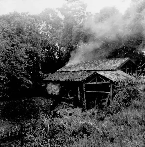 Foto 30: Casa de farinha em Bragança (PA)