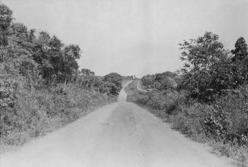 Foto 4: Estrada de ferro (Belém - Bragança) em Castanhal Km. 58 (PA)