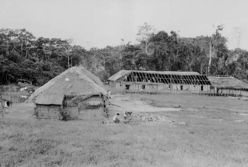 Foto 29: Barracão em construção, moradia de colonos japoneses em Monte Alegre (PA)