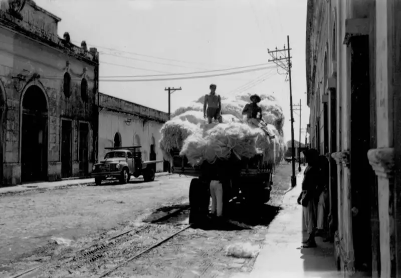 Foto 90: Caminhão descarregando feixes de agave em João Pessoa (PB)